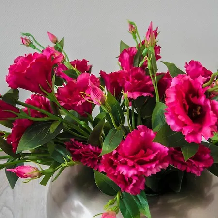 Beach Lodge Hébergement de vacances Callantsoog